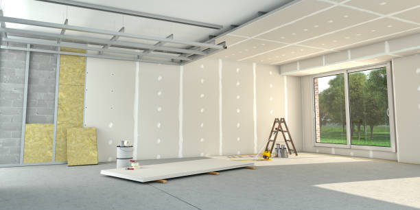 Best Insulation Removal  in St Matthews, KY