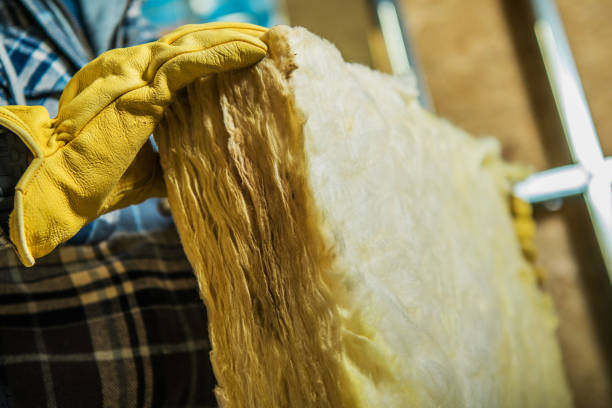 Best Blown-in Insulation  in St Matthews, KY