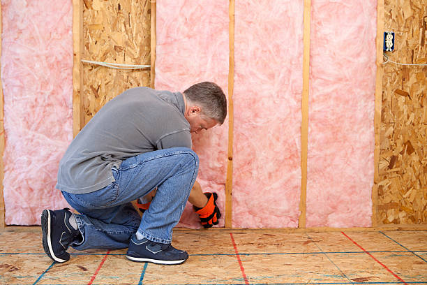 Best Fiberglass Insulation  in St Matthews, KY